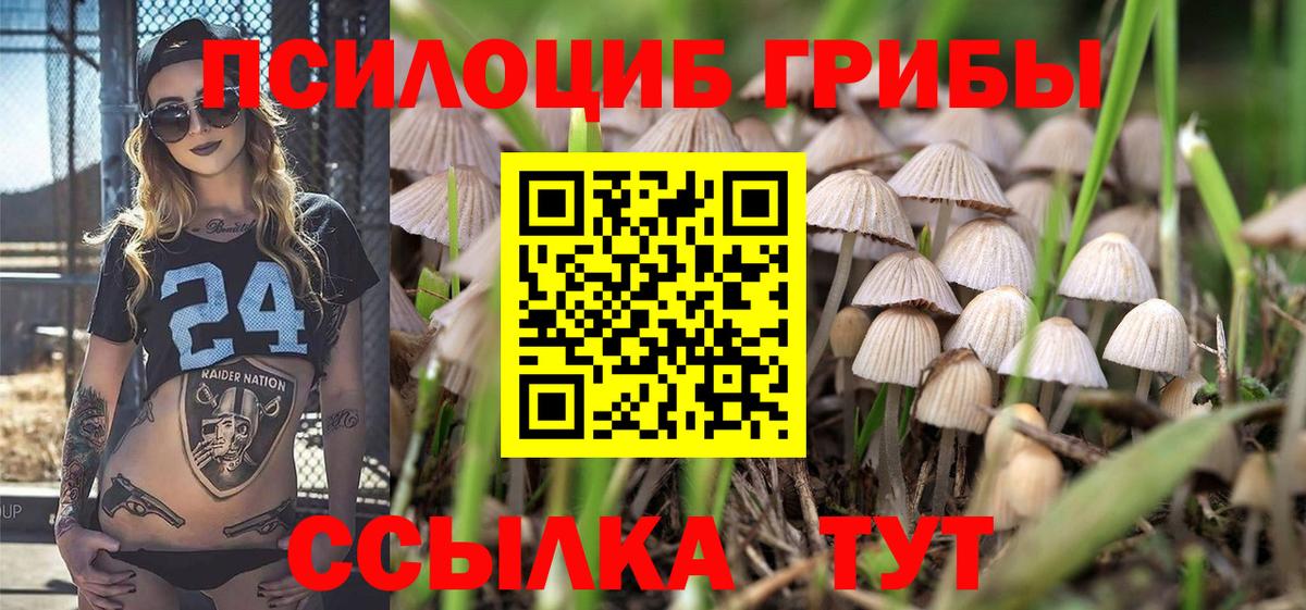 Псилоцибиновые грибы мицелий  Вход с VPN  Нерюнгри 